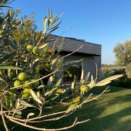Bed and Breakfast Gioia In Collina à Torrevecchia Teatina Extérieur photo