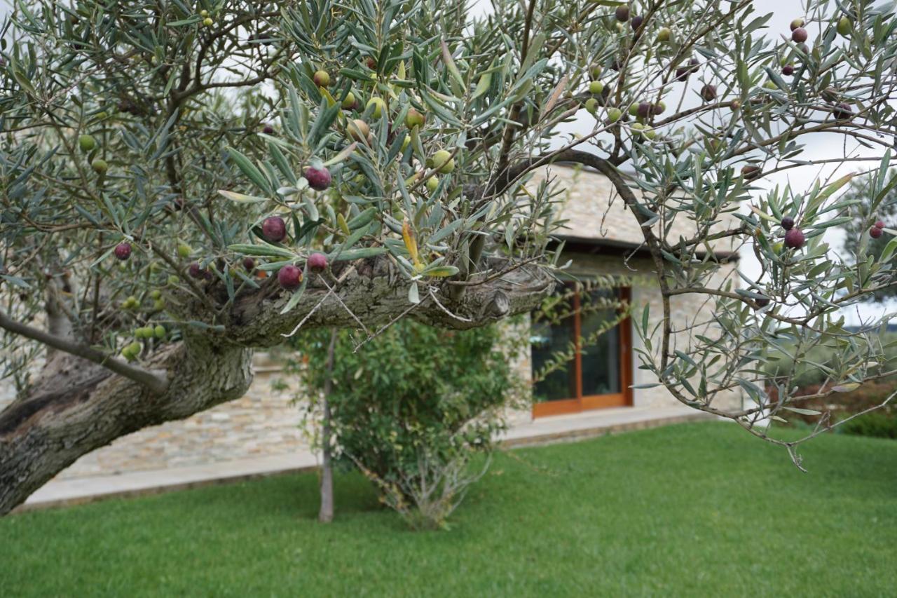 Bed and Breakfast Gioia In Collina à Torrevecchia Teatina Extérieur photo