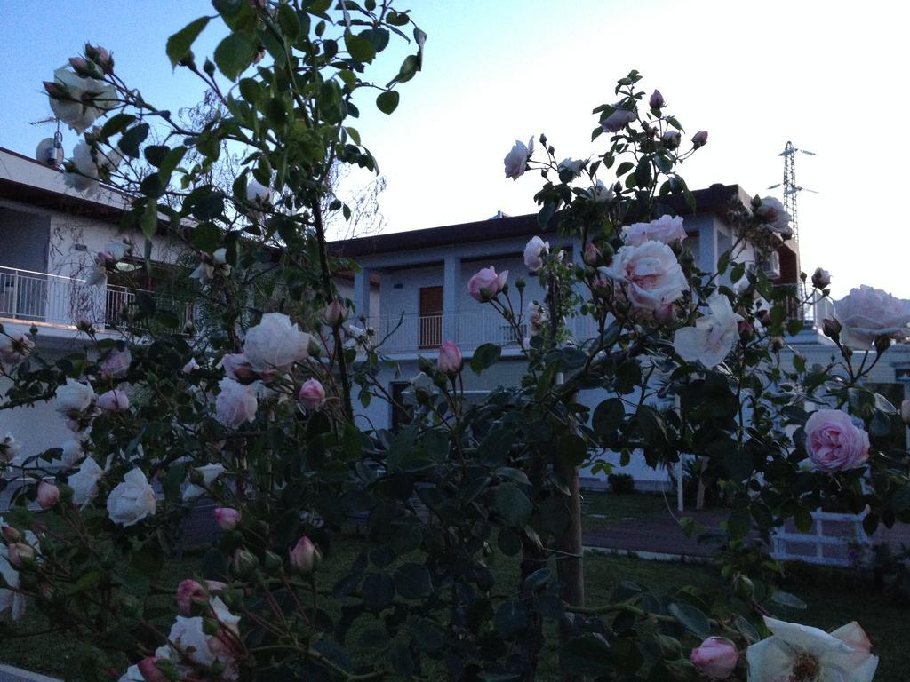 Bed and Breakfast Gioia In Collina à Torrevecchia Teatina Extérieur photo